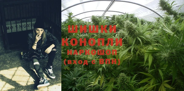2c-b Каменка