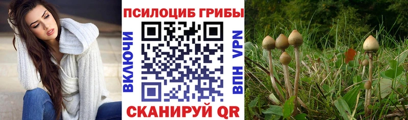 Галлюциногенные грибы GOLDEN TEACHER  kraken ССЫЛКА  Магас 